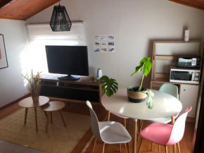 Departamento cerro de la cruz Punta Arenas